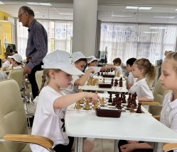 img (6)